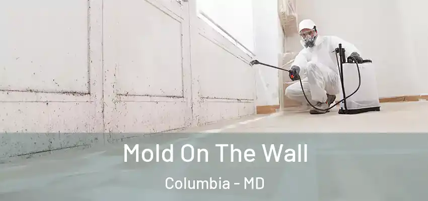  Mold On The Wall Columbia - MD