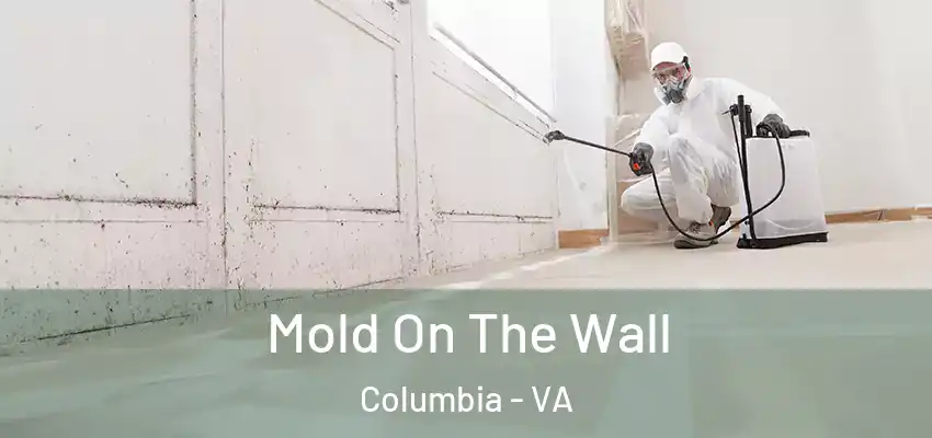 Mold On The Wall Columbia - VA