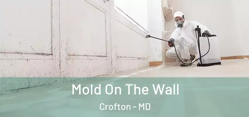 Mold On The Wall Crofton - MD