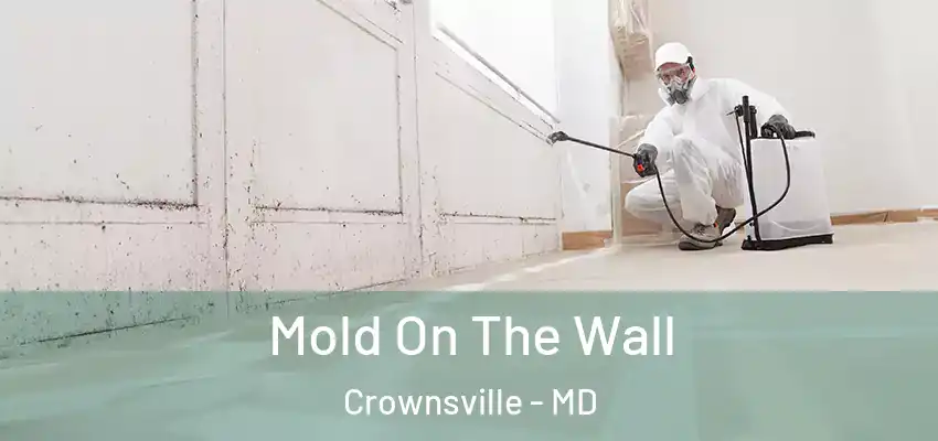  Mold On The Wall Crownsville - MD