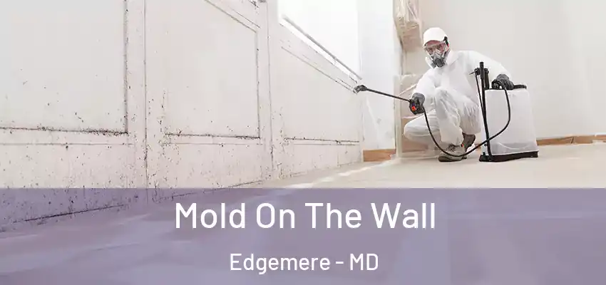 Mold On The Wall Edgemere - MD