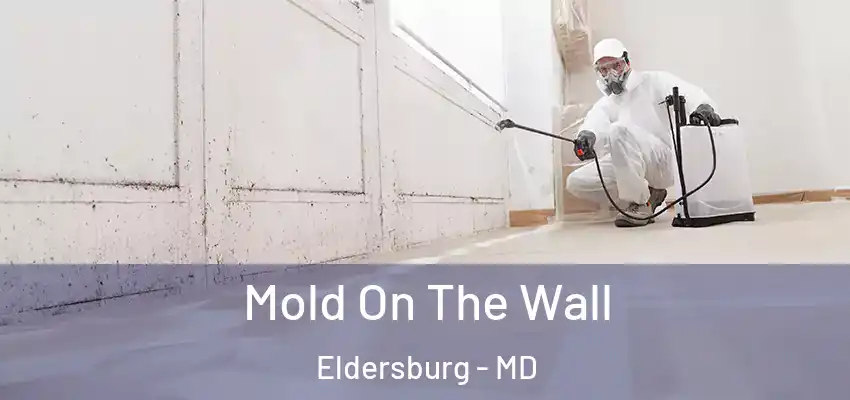 Mold On The Wall Eldersburg - MD