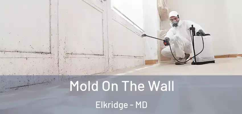 Mold On The Wall Elkridge - MD