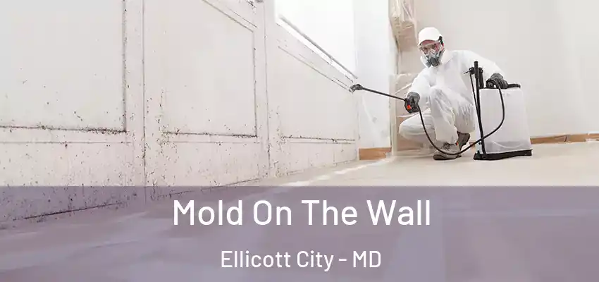  Mold On The Wall Ellicott City - MD
