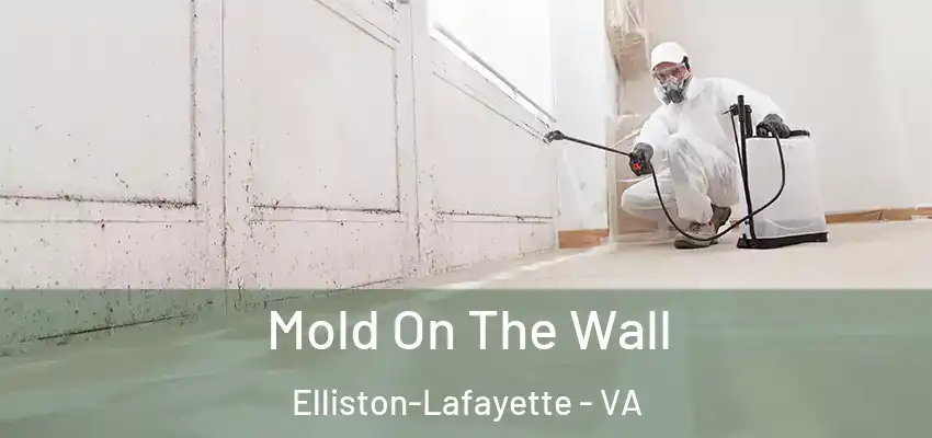 Mold On The Wall Elliston-Lafayette - VA
