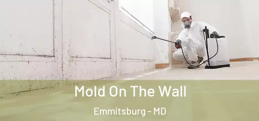 Mold On The Wall Emmitsburg - MD