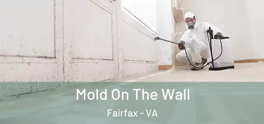 Mold On The Wall Fairfax - VA