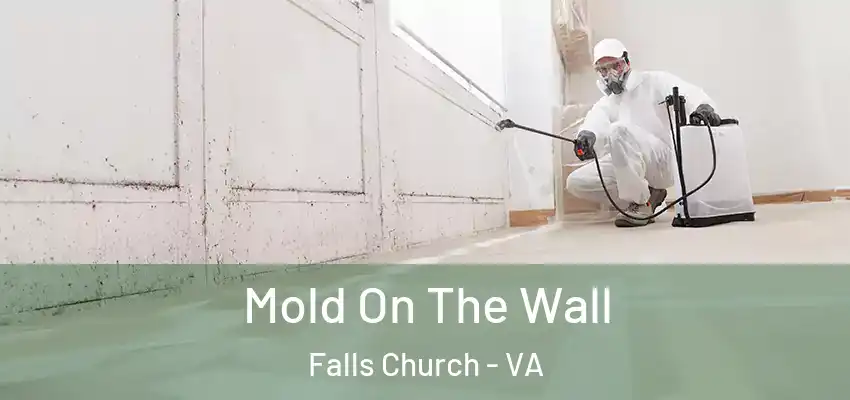  Mold On The Wall Falls Church - VA