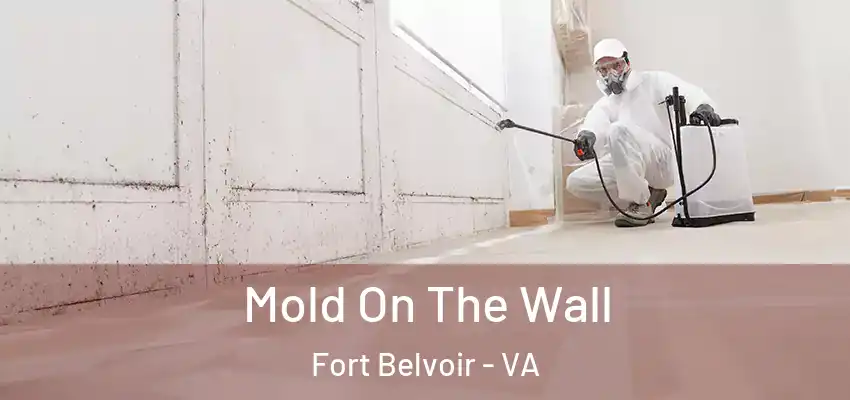Mold On The Wall Fort Belvoir - VA