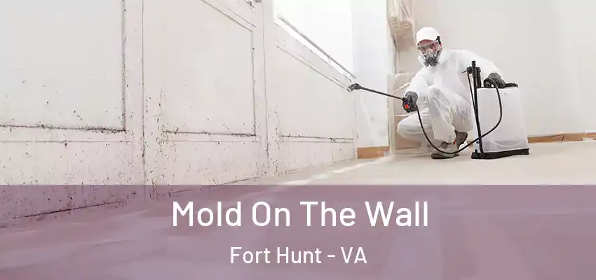 Mold On The Wall Fort Hunt - VA