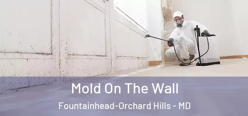  Mold On The Wall Fountainhead-Orchard Hills - MD