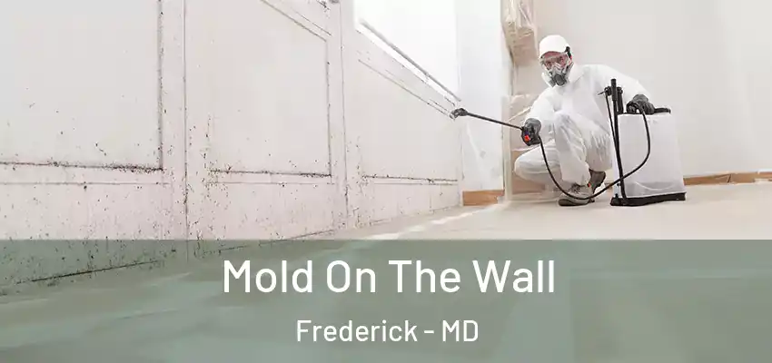 Mold On The Wall Frederick - MD