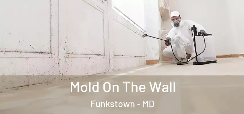 Mold On The Wall Funkstown - MD