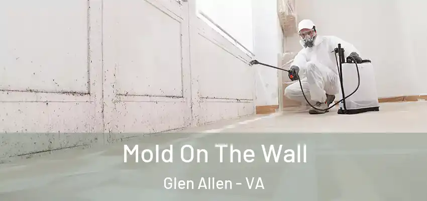 Mold On The Wall Glen Allen - VA