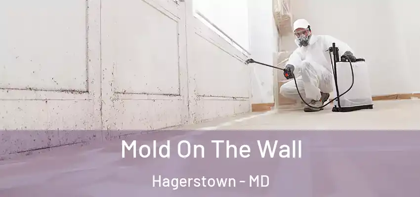 Mold On The Wall Hagerstown - MD