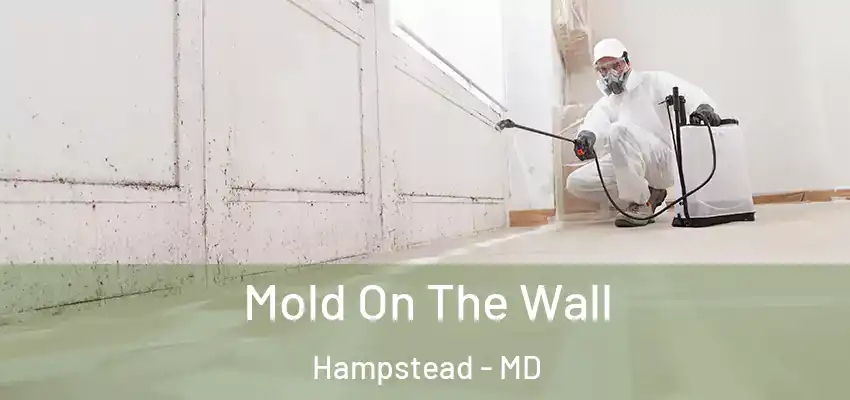 Mold On The Wall Hampstead - MD