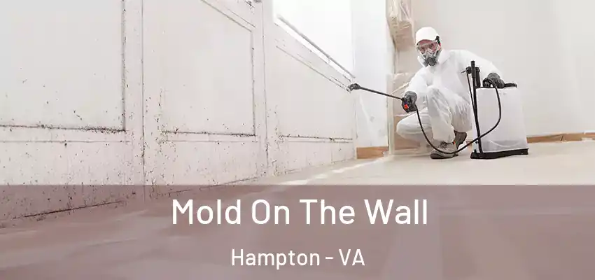 Mold On The Wall Hampton - VA