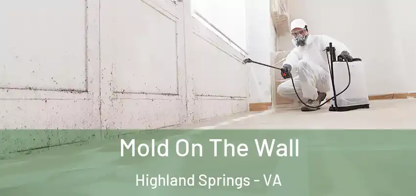  Mold On The Wall Highland Springs - VA