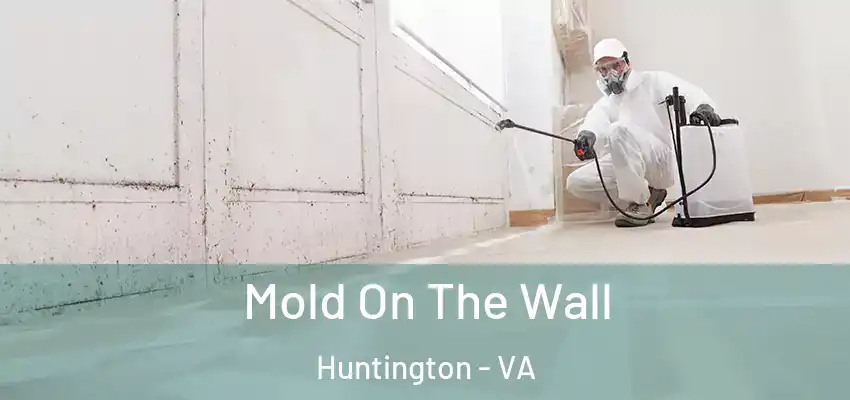 Mold On The Wall Huntington - VA
