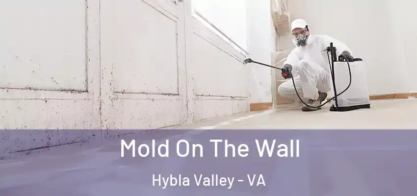 Mold On The Wall Hybla Valley - VA