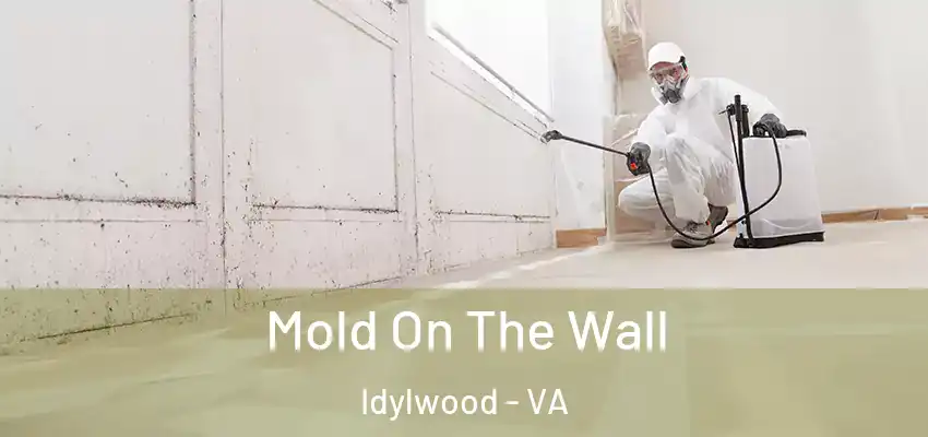  Mold On The Wall Idylwood - VA
