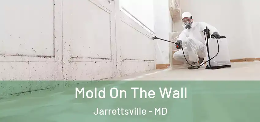  Mold On The Wall Jarrettsville - MD