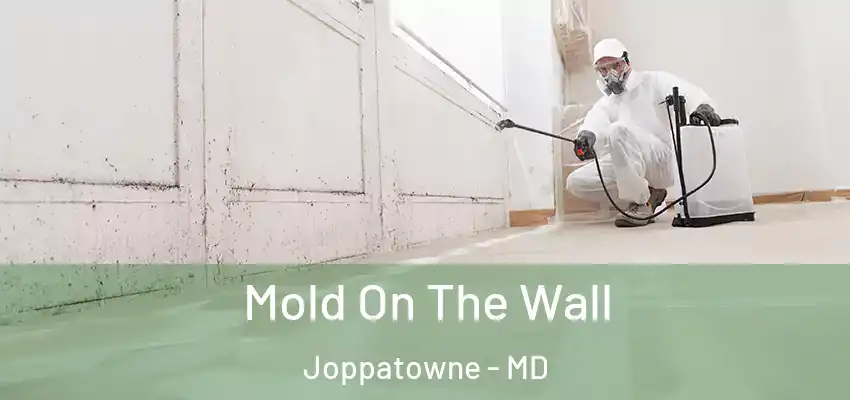 Mold On The Wall Joppatowne - MD