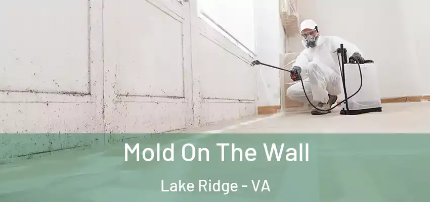  Mold On The Wall Lake Ridge - VA