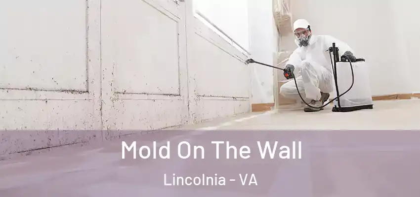  Mold On The Wall Lincolnia - VA