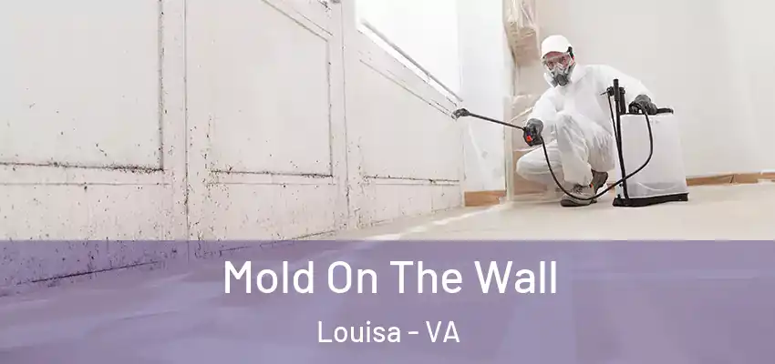 Mold On The Wall Louisa - VA