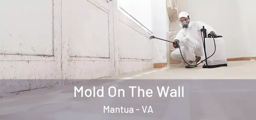  Mold On The Wall Mantua - VA