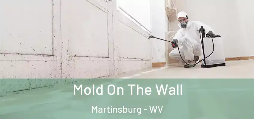 Mold On The Wall Martinsburg - WV