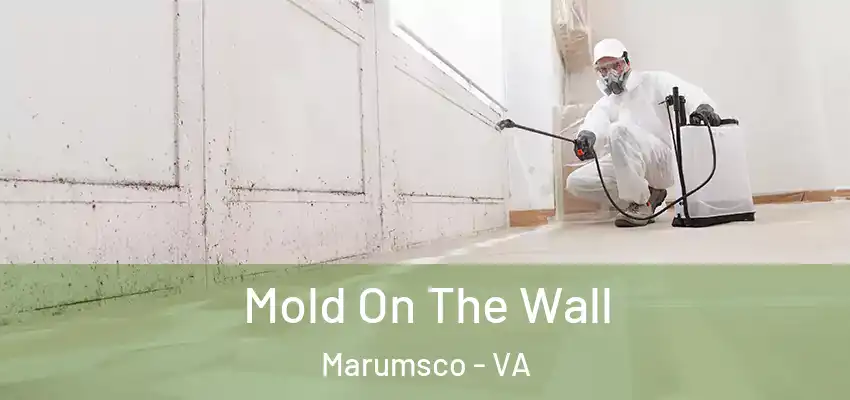  Mold On The Wall Marumsco - VA