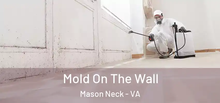 Mold On The Wall Mason Neck - VA