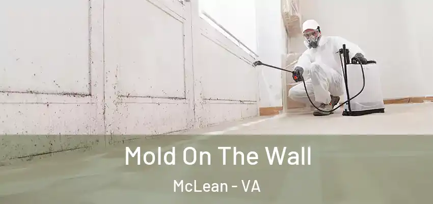 Mold On The Wall McLean - VA