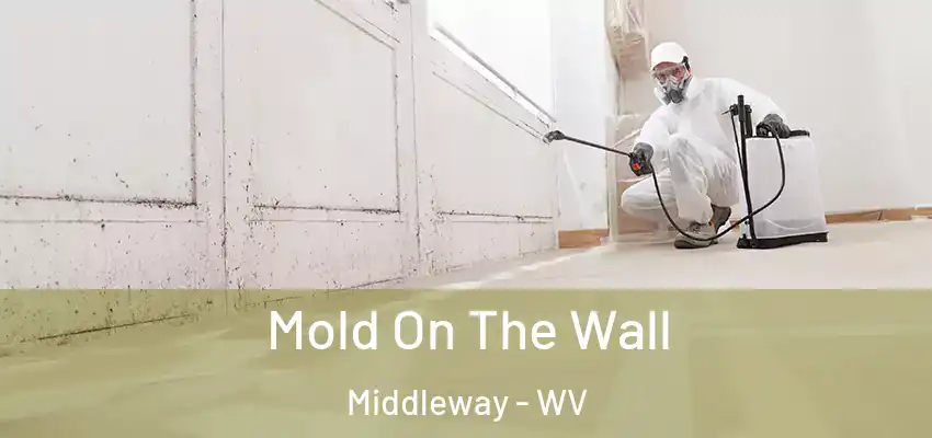 Mold On The Wall Middleway - WV