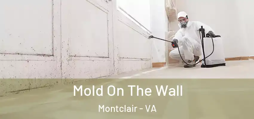 Mold On The Wall Montclair - VA