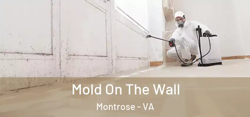 Mold On The Wall Montrose - VA