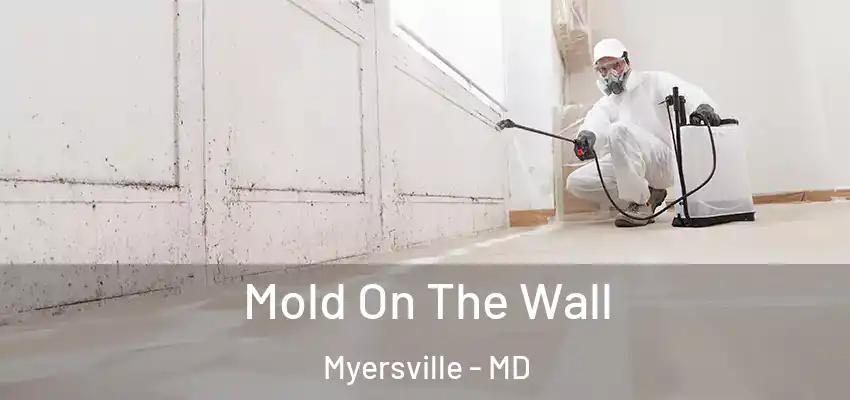  Mold On The Wall Myersville - MD