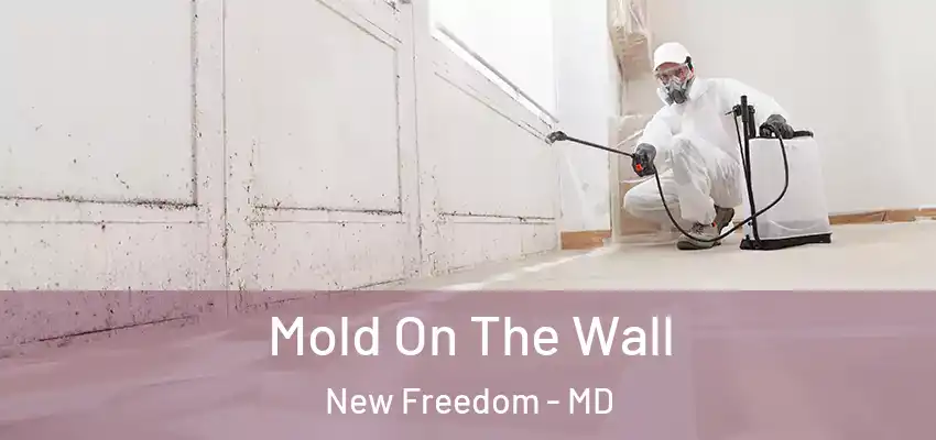 Mold On The Wall New Freedom - MD