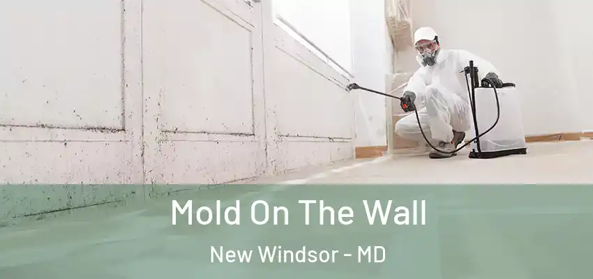  Mold On The Wall New Windsor - MD