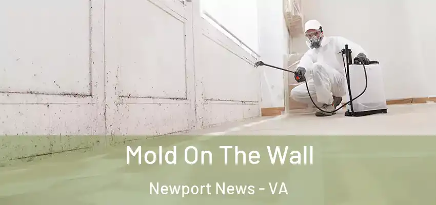 Mold On The Wall Newport News - VA
