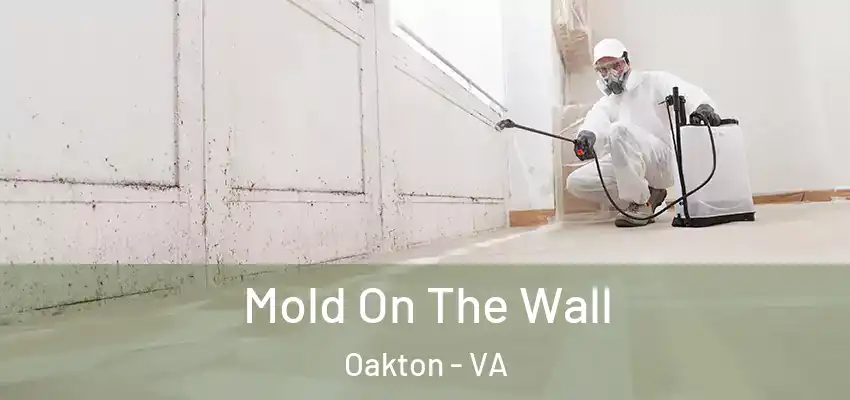 Mold On The Wall Oakton - VA