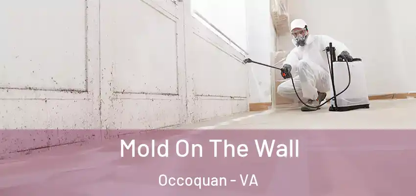  Mold On The Wall Occoquan - VA