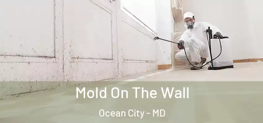 Mold On The Wall Ocean City - MD