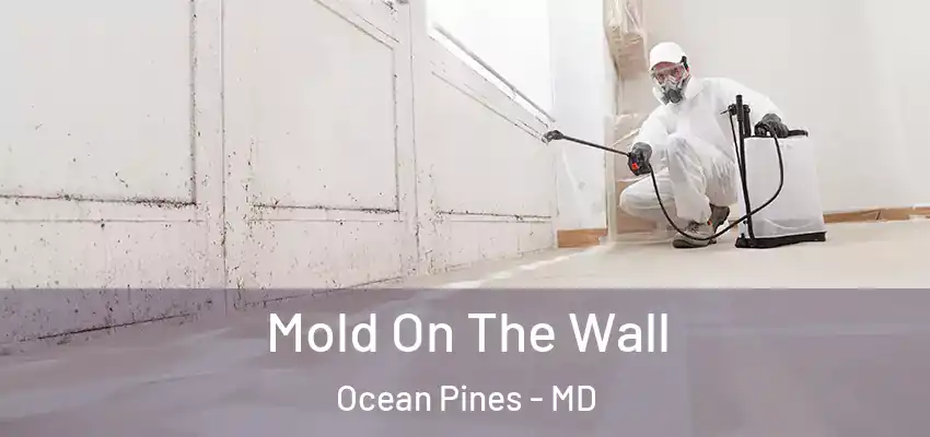  Mold On The Wall Ocean Pines - MD