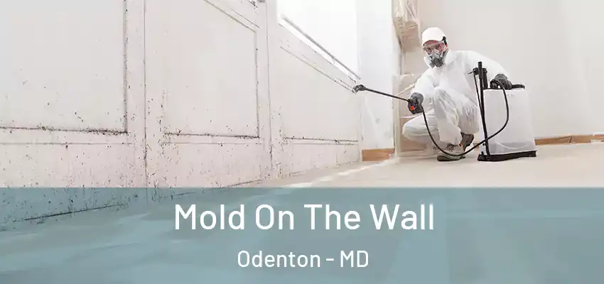 Mold On The Wall Odenton - MD