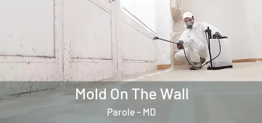  Mold On The Wall Parole - MD