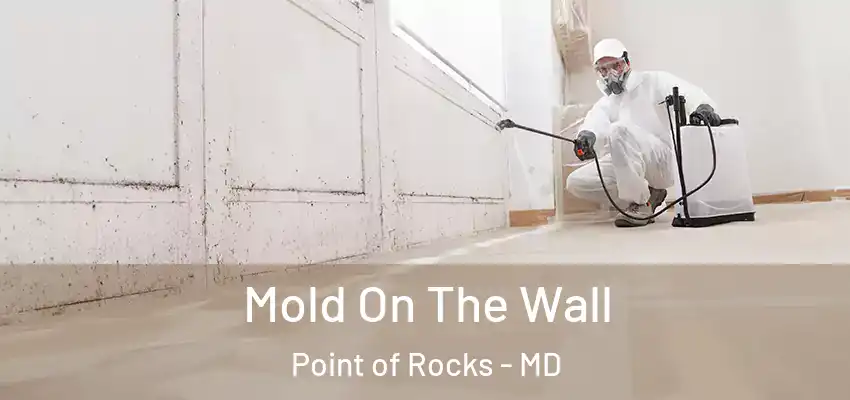  Mold On The Wall Point of Rocks - MD