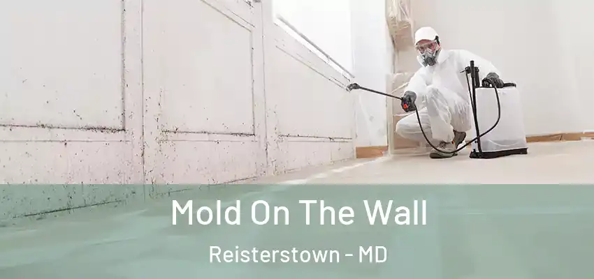 Mold On The Wall Reisterstown - MD